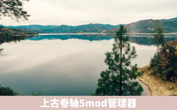 上古卷轴5mod管理器