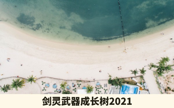 剑灵武器成长树2021