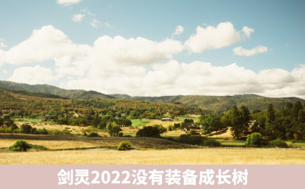 剑灵2022没有装备成长树