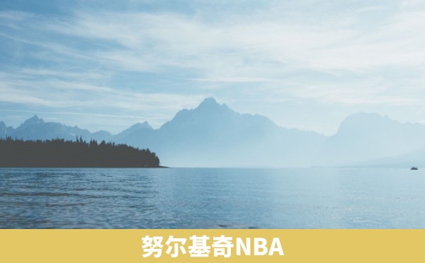 努尔基奇NBA