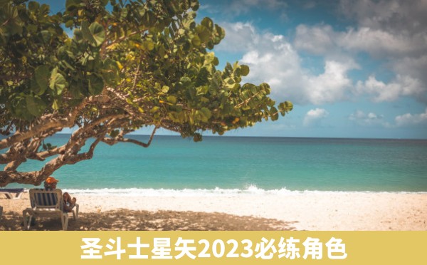 圣斗士星矢2023必练角色