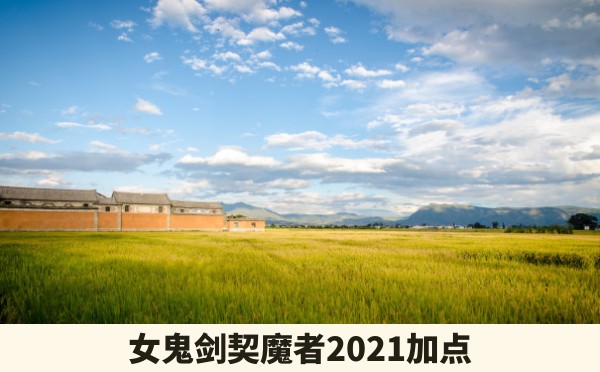 女鬼剑契魔者2021加点