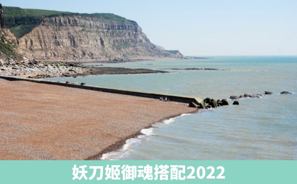 妖刀姬御魂搭配2022