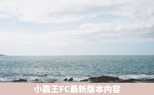 小霸王FC最新版本内容