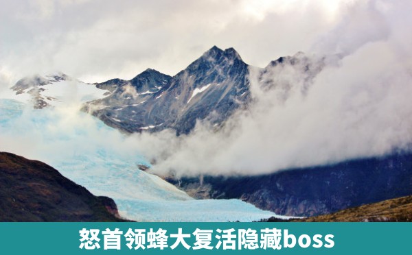 怒首领蜂大复活隐藏boss