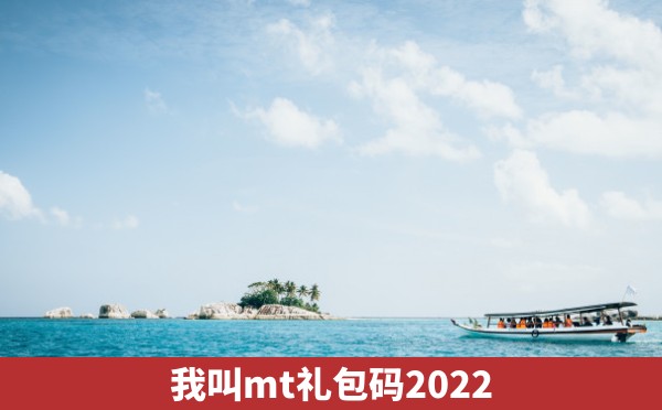 我叫mt礼包码2022