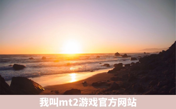 我叫mt2游戏官方网站