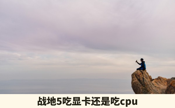 战地5吃显卡还是吃cpu