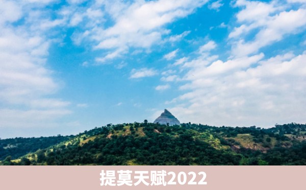 提莫天赋2022