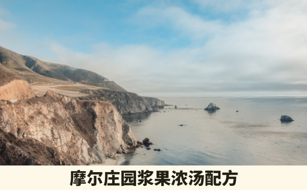 摩尔庄园浆果浓汤配方