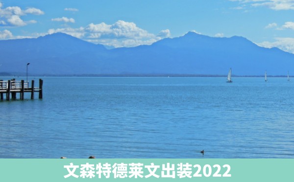 文森特德莱文出装2022