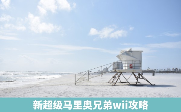 新超级马里奥兄弟wii攻略