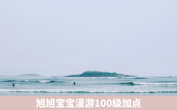 旭旭宝宝漫游100级加点