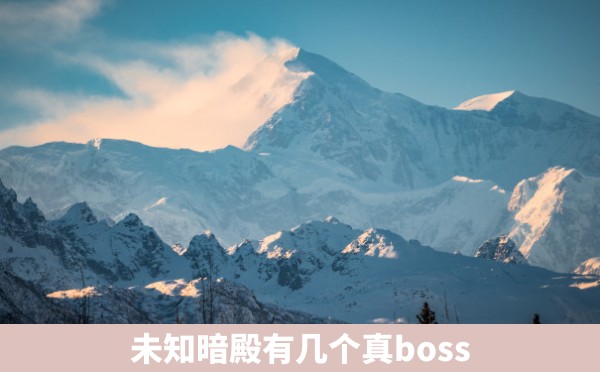 未知暗殿有几个真boss