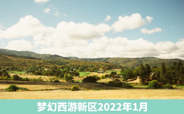 梦幻西游新区2022年1月