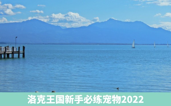 洛克王国新手必练宠物2022