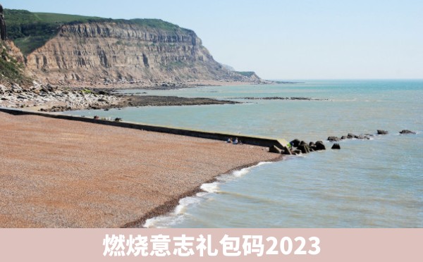 燃烧意志礼包码2023