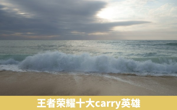 王者荣耀十大carry英雄