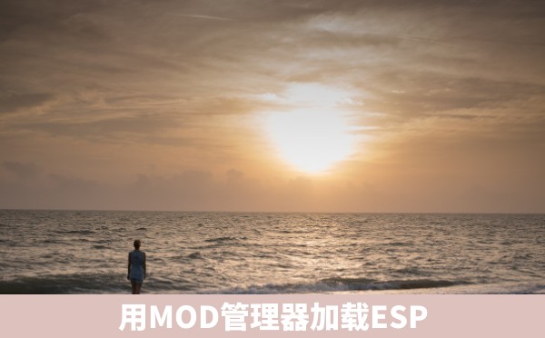 用MOD管理器加载ESP