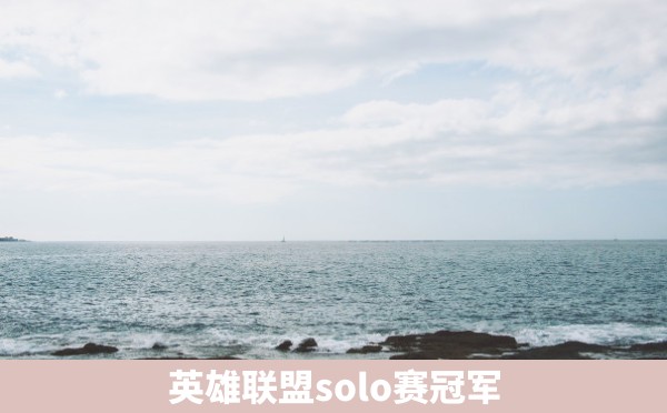 英雄联盟solo赛冠军