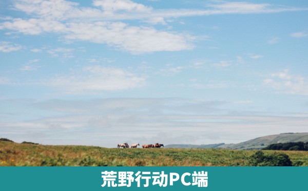 荒野行动PC端