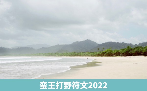 蛮王打野符文2022