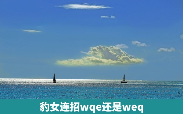 豹女连招wqe还是weq