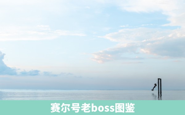 赛尔号老boss图鉴