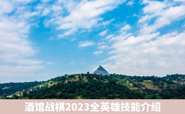 酒馆战棋2023全英雄技能介绍