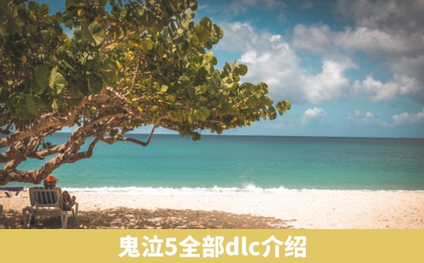 鬼泣5全部dlc介绍