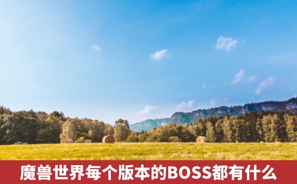 魔兽世界每个版本的BOSS都有什么