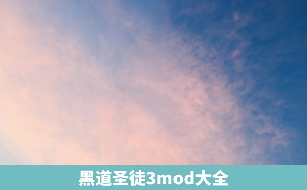 黑道圣徒3mod大全