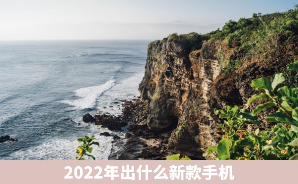 2022年出什么新款手机