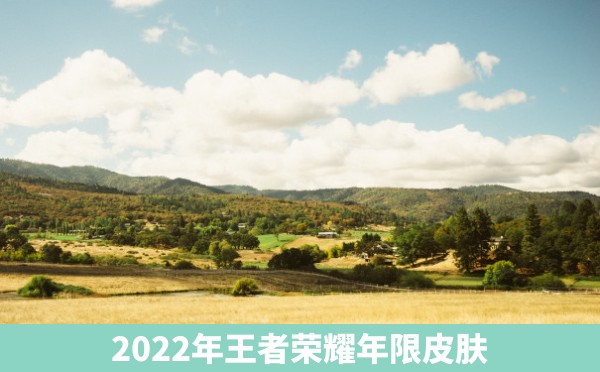 2022年王者荣耀年限皮肤