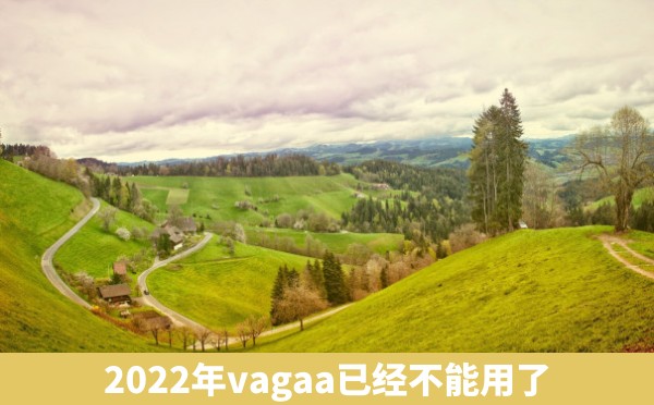 2022年vagaa已经不能用了