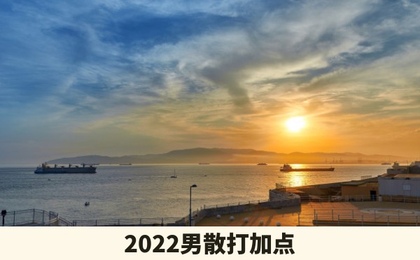 2022男散打加点