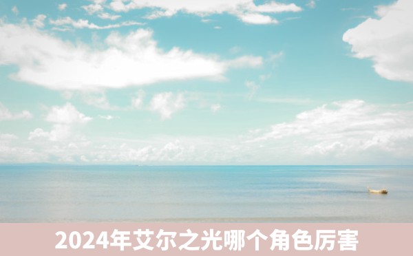 2024年艾尔之光哪个角色厉害