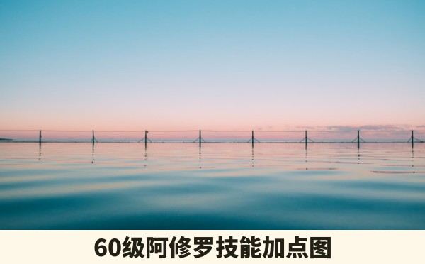 60级阿修罗技能加点图