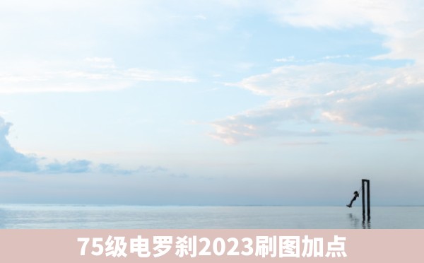 75级电罗刹2023刷图加点