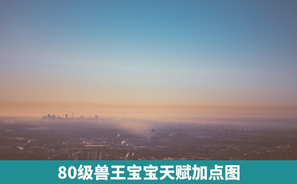 80级兽王宝宝天赋加点图