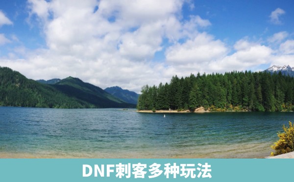 DNF刺客多种玩法