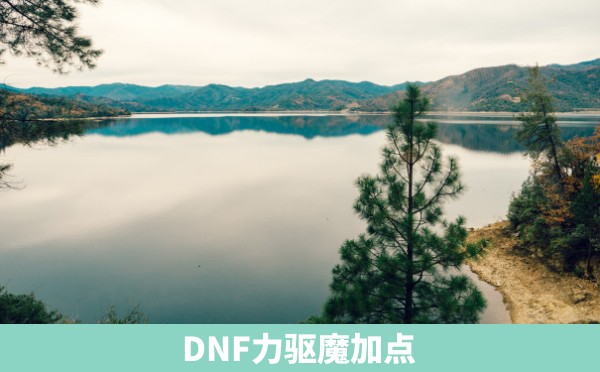 DNF力驱魔加点