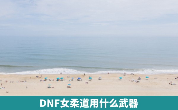 DNF女柔道用什么武器