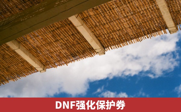 DNF强化保护券