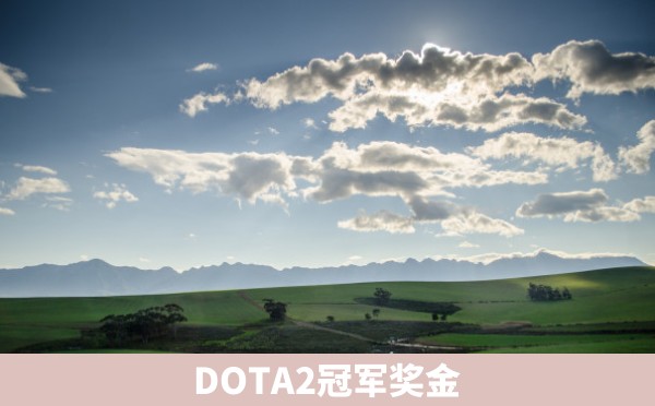 DOTA2冠军奖金