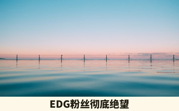 EDG粉丝彻底绝望