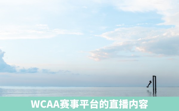 WCAA赛事平台的直播内容