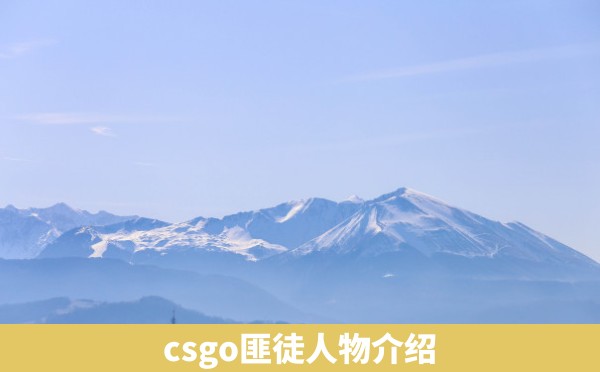 csgo匪徒人物介绍