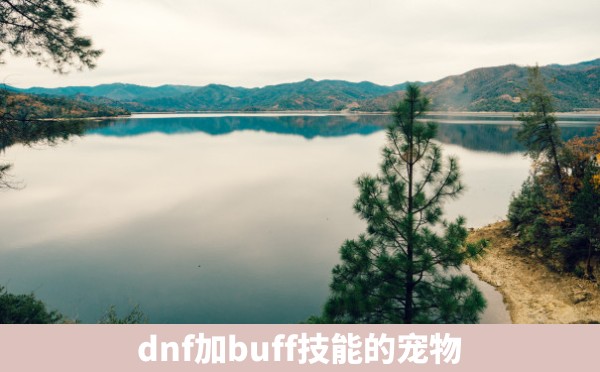 dnf加buff技能的宠物