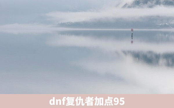 dnf复仇者加点95